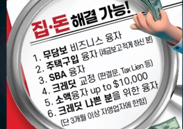이례 융자