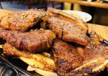 동백