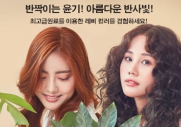 레삐헤어 Repit Hair
