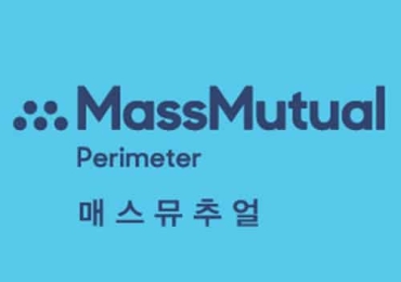 매스뮤추얼 보험