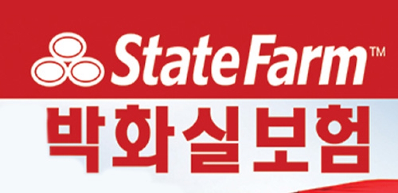 박화실 재정 보험(도라빌)