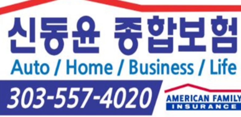 신동윤 종합보험