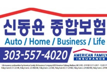 신동윤 종합보험