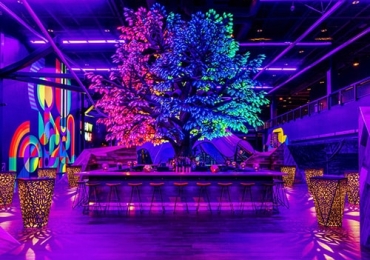 오드우드 Oddwood