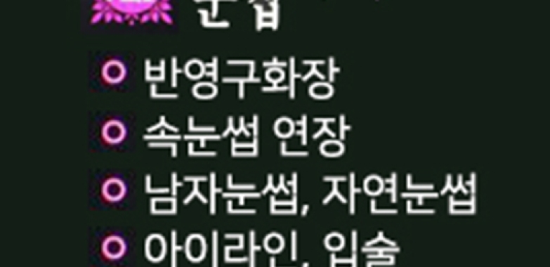 눈썹나라