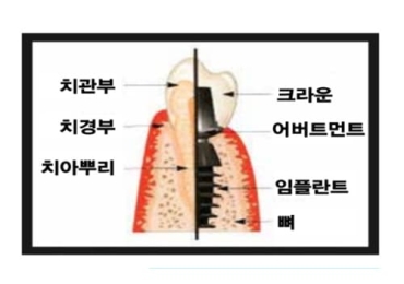 이경국 치과의원