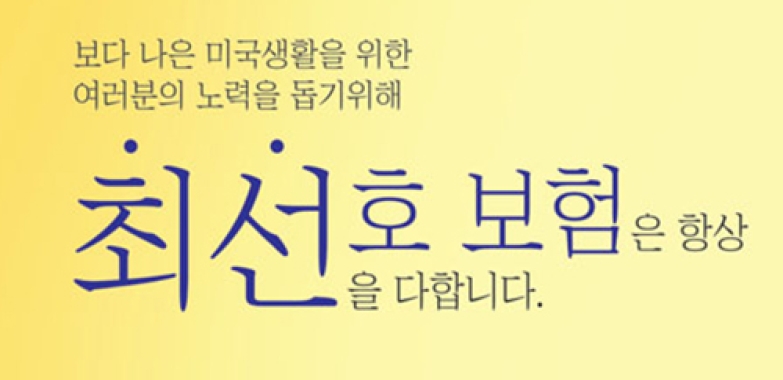 최선호 그룹 종합보험