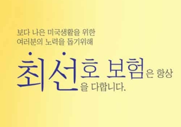 최선호 그룹 종합보험