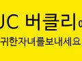 UC 버클리로 가는 길